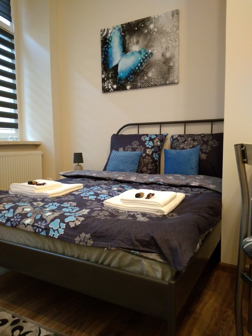  Wieckowskiego - 6 koloru srebrnego - apartament nr 2